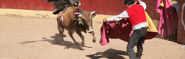 Festa Yawar no Peru: Tradição, Cultura e História | Viagens Machu Picchu