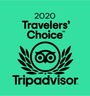 Certificado de Excelência 2020
