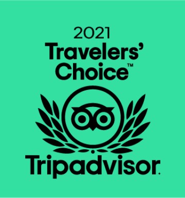 Certificado de Excelência 2021